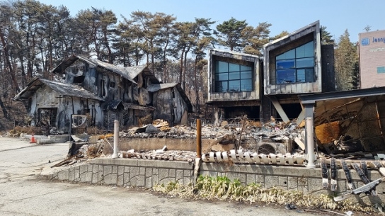 도심을 휩쓴 강릉 산불 "한국교회의 도움이 절실합니다"