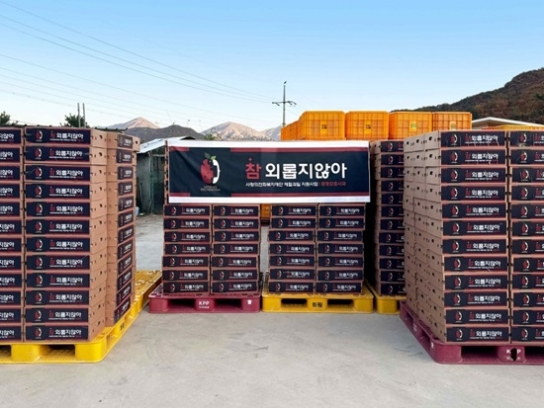 사랑의전화복지재단, 어르신들에게 문경사과 500박스 전달